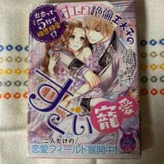 出会って5秒で相思相愛!? 甘エロ絶倫王太子のすごい寵愛のサムネイル