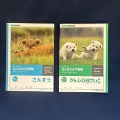 かんがえる学習帳　キョクトウ かんじのおけいこ84字 算数14マス ノート 2冊のサムネイル