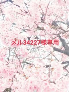 感謝セール【新品】傳濱野ミーティア ラウンド本革トートバッグ皇室 