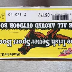 レッドウイング アイリッシュセッター8179番