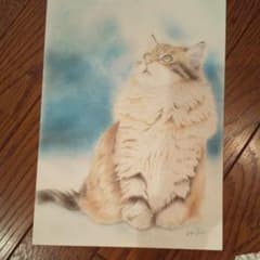 色鉛筆画のサムネイル