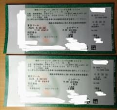 巨人vs広島 東京ドーム　ペア　'24/6/30(日)14 時〜のサムネイル