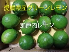 愛媛県産　瀬戸内グリーンレモンのサムネイル