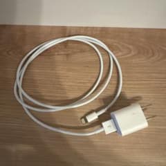 Apple USB 전원 어댑터 Lightning 케이블 세트