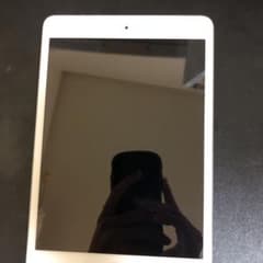 iPad miniのサムネイル