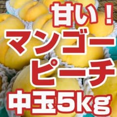 マンゴーピーチ 訳あり 甘い ！たっぷり黄金桃5kg 中玉18〜20玉 - メルカリ