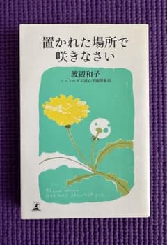 置かれた場所で咲きなさいのサムネイル
