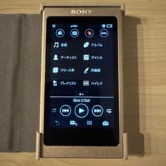 【美品】SONY WALKMAN NW-A45 Bluetooth ハイレゾのサムネイル