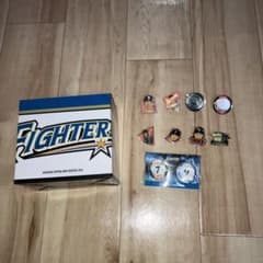 西川遥輝 北海道日本ハムファイターズ 記念バッジ 9点セット+ボブルヘッドのサムネイル