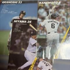 阪神タイガース 選手下敷き 3枚セット 金本 赤星 桧山 - メルカリ