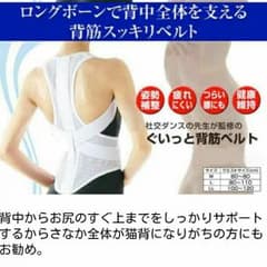 強制ベルト Rizza様専用のサムネイル
