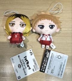 ハイキュー‼︎ぬいぐるみちゃーむのサムネイル