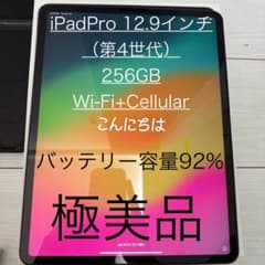 iPad Pro 12.9インチ 第4世代 Wi-Fi + Cellularのサムネイル