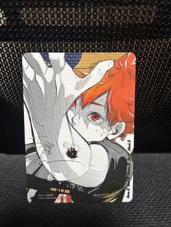 ハイキュー バボカ 日向翔陽 シリアルナンバー入りサインカード 極P ハイキュー