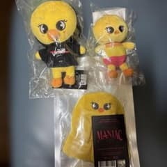 スキズ SKZOO ペンラカバー ミニぬいぐるみ ポガリ - メルカリ