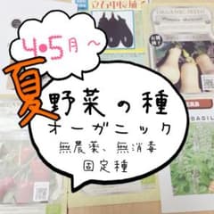 夏野菜の種のサムネイル