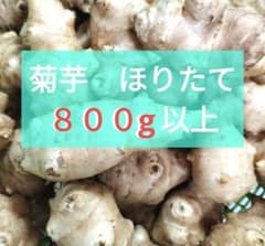 【限定一箱！！！】ほりたて　菊芋　訳あり　種芋　土付き　常温発送 菊芋・世界三大健康野菜】☆ほりたて☆新鮮☆800g以上☆ - メルカリ