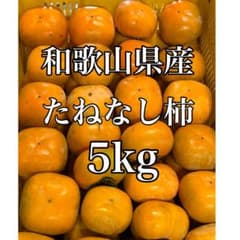 たねなし柿　家庭用、5kg、45のサムネイル