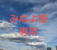 【みなよ様専用】のサムネイル