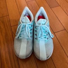 NIKE スニーカー ペガサスターボ35のサムネイル