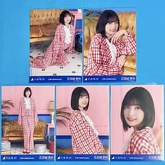 五百城茉央 【匿名配送】14周年記念 5枚 コンプ 【硬質ケース発送】乃木坂46 五百城茉央 【匿名配送】14周年記念 5枚 コンプ 【硬質ケース発送