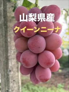 し*♡様 山梨県産　クイーンニーナ　　　　　　　　　　3房(約1.8kg前後）のサムネイル