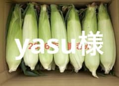 嶽きみ　訳あり　10本のサムネイル