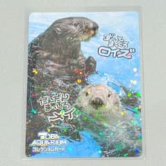 【激レア】鳥羽水族館 コレクションカード第2弾 ラッコ ロイズ メイ 鳥羽水族館コレクションカードvol.2 47 ラッコ ロイズ メイ - メルカリ