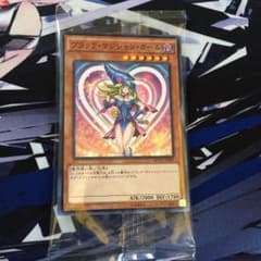ブラックマジシャンガール、エルフの聖剣士のサムネイル