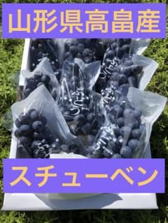 ⑥山形県高畠産ぶどうスチューベン2キロ箱満杯詰のサムネイル