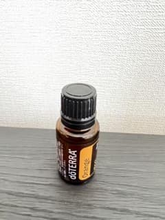 doTERRAオレンジ新品未使用のサムネイル