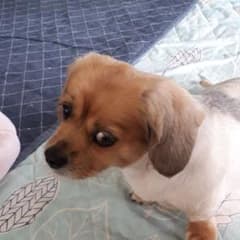 ⭐ゆう様専用です⭐のサムネイル