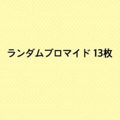 ランダムブロマイド 13枚のサムネイル