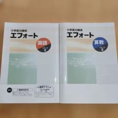 小学実力練成エフォート 国語 算数 ステージII 2冊セットのサムネイル