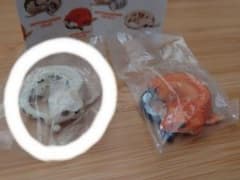 【sakuri様専用】クレステッドゲッコーフィギュア リリーホワイトのサムネイル