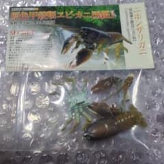 原色甲殻類エビ・カニ図鑑I シークレット2種セット - メルカリ