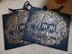 Riraさん専用　diorショッパー　小中２枚のサムネイル