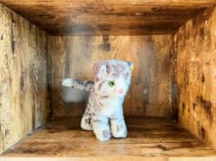 Steiff ねこ ヴィンテージのサムネイル