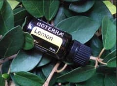 ❗️新品 未開封 最安】ドテラ doTERRA レモン 15ml 期限28年代 - メルカリ