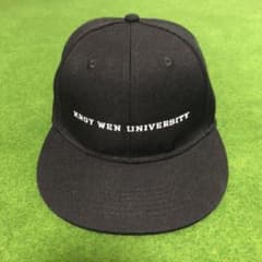 WEWILL   KWU LOGO HATのサムネイル