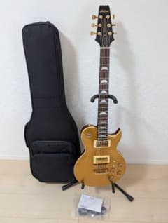 Aria Pro II / PE-F80 LTD GDTP イシバシ楽器限定 - メルカリ