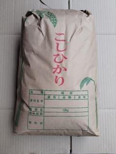 令和7年 福島県中通り産 コシヒカリ 玄米 10kg - メルカリ