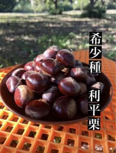 茨城県産 利平栗 希少品種 無農薬のサムネイル