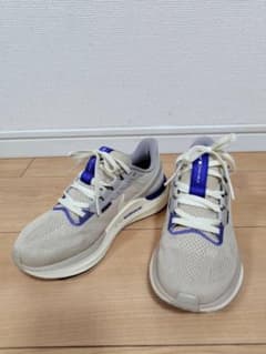 ナイキ　エア　ズーム　ストラクチャー　25 PRM　23.0cmのサムネイル
