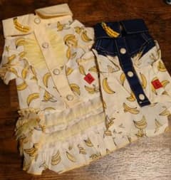 サーカスサーカス　2枚セットのサムネイル