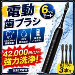 電動歯ブラシ　音波　歯石除去　歯磨き　替えブラシ付き　防水　振動　口臭のサムネイル