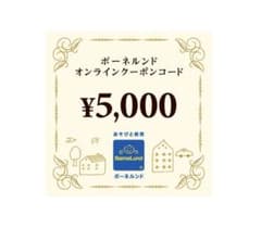 ボーネルンド  5000円　クーポンのサムネイル