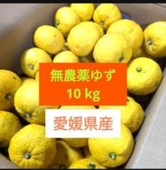無農薬ゆず10kg　愛媛県産のサムネイル