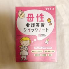 【tomo 様専用】母性看護実習クイックノートのサムネイル