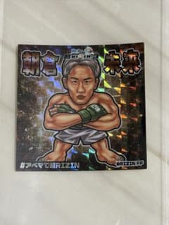 朝倉未来のサムネイル